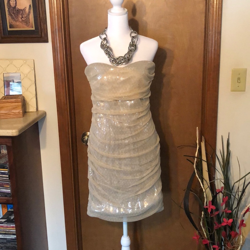 Sweet and Strapless by Express